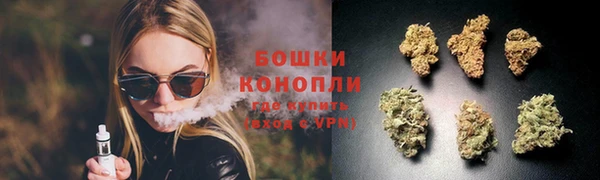 стаф Аркадак
