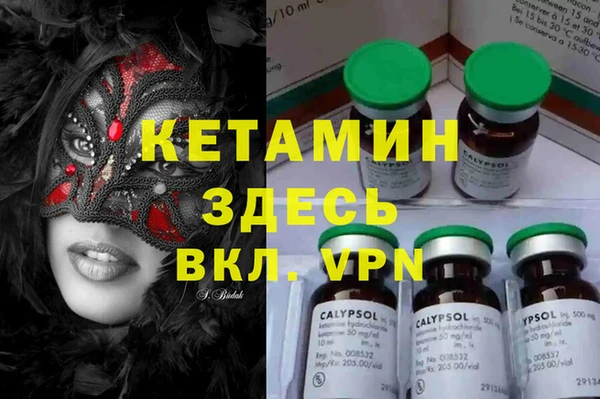 стаф Аркадак