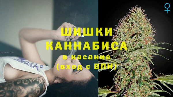 стаф Аркадак