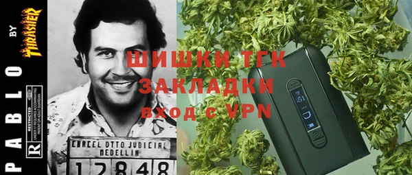 стаф Аркадак