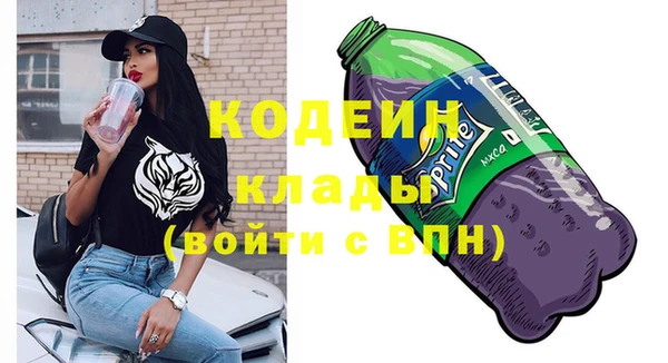 стаф Аркадак