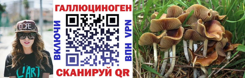 ОМГ ОМГ ТОР  Устюжна  Галлюциногенные грибы GOLDEN TEACHER  где купить наркотик 